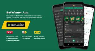 BetWinner Italy Your Ultimate Guide to Betting Success