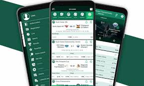 BetWinner Ivory Coast Your Ultimate Guide to Online Betting