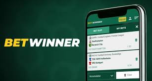 Unlock Exciting Offers with BetWinner Senegal Promo Codes -858452995